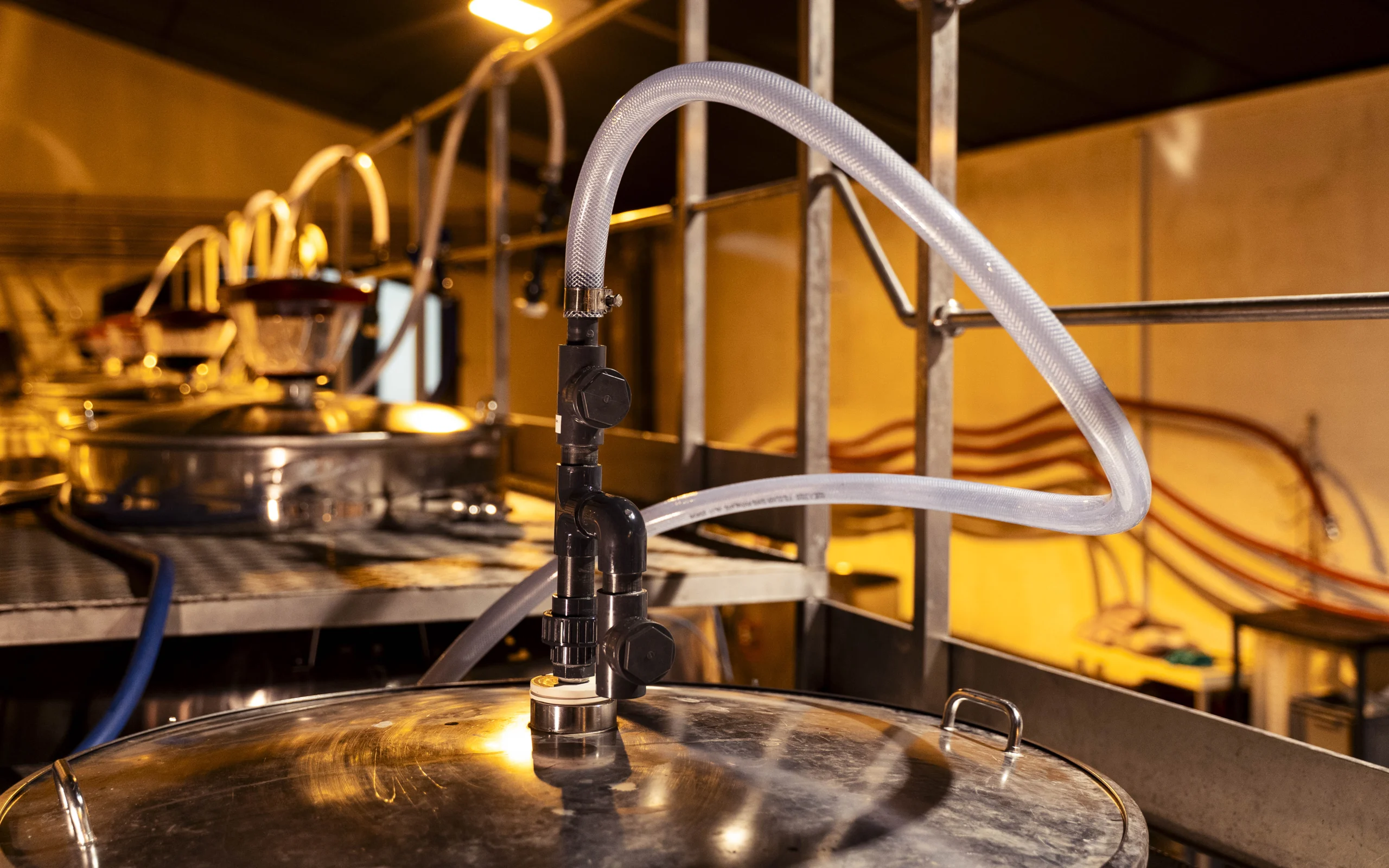 Vendanges 2025 - CO2 Winery Vendanges 2025 - CO2 Winery