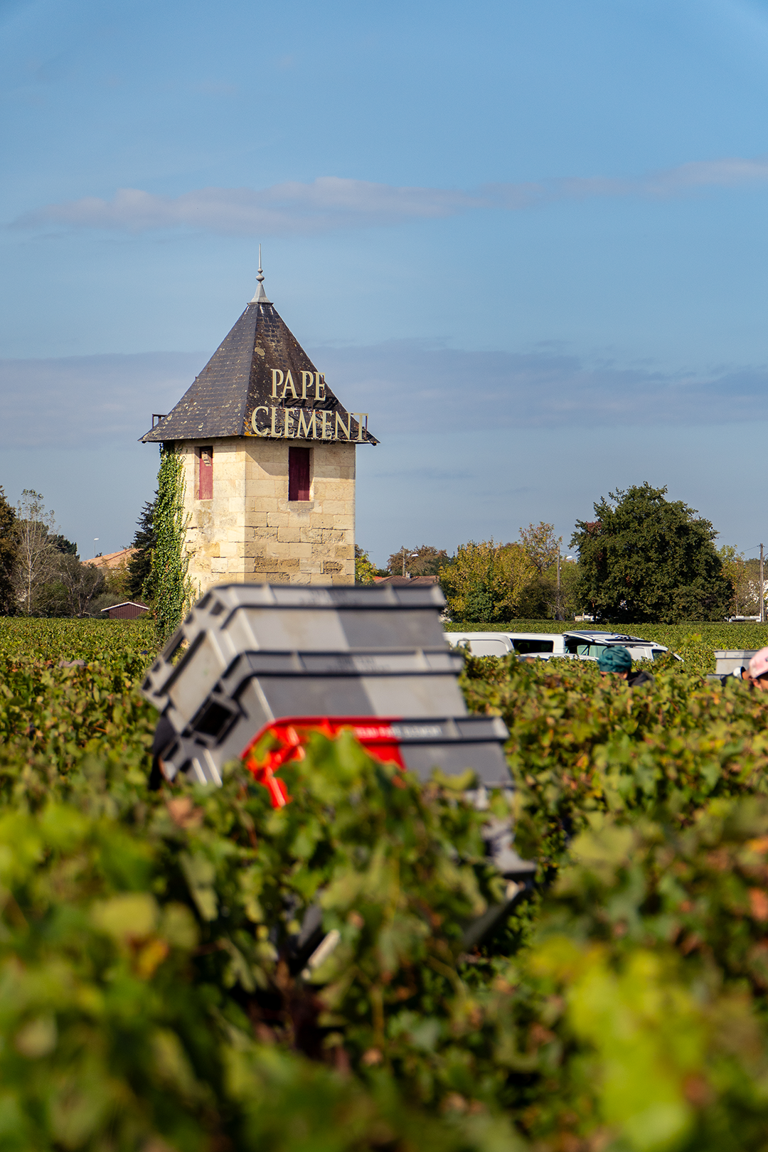 Vendanges 2025 - Château Pape Clément Vendanges 2025 - Château Pape Clément