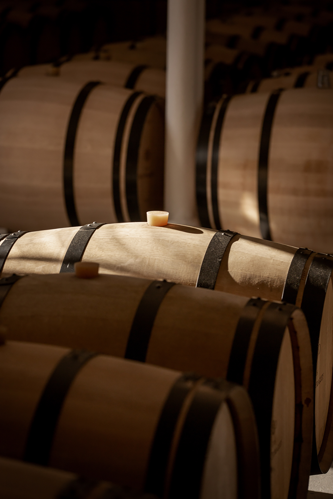 Vendanges 2025 - Clos Haut-Peyraguey Chai Vendanges 2025 - Clos Haut-Peyraguey Chai