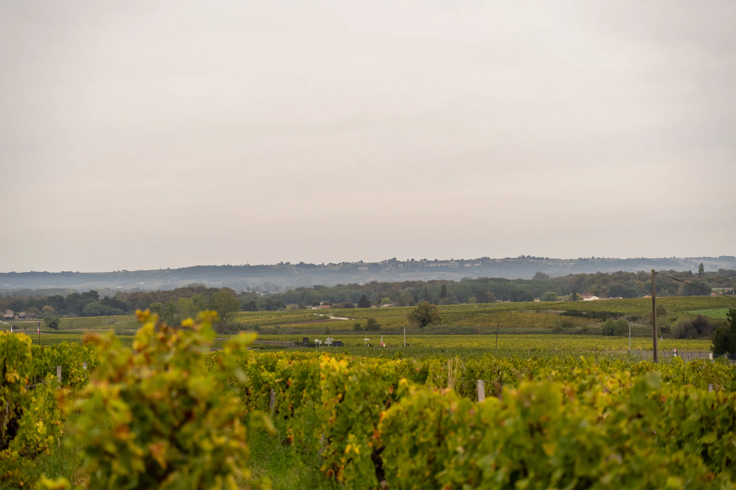 Vendanges 2025 - Clos Haut-Peyraguey Vendanges 2025 - Clos Haut-Peyraguey