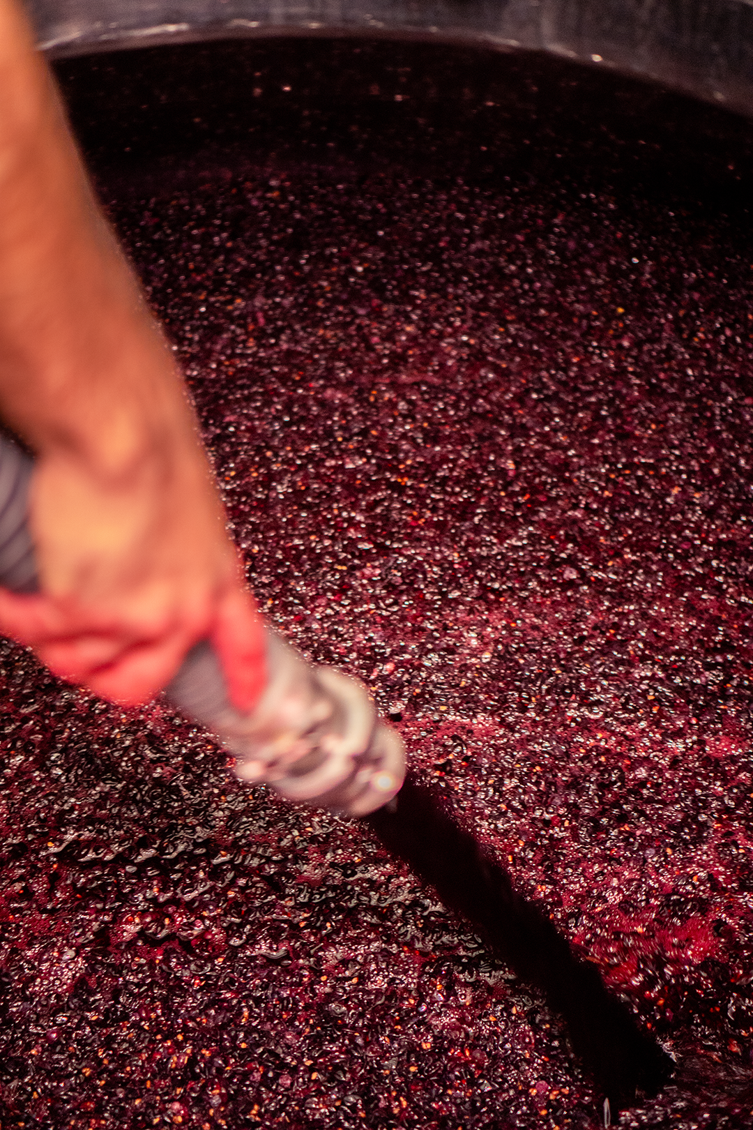 Vendanges 2025 - Remontages Vendanges 2025 - Remontages